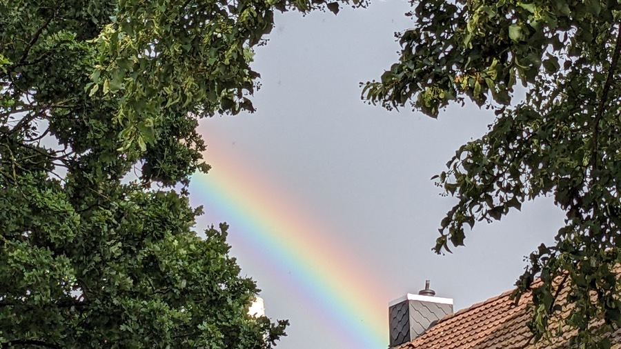 Die Schachfreunde im Jahreswechsel: Rückblick auf 2025 und Ausblick auf 2026